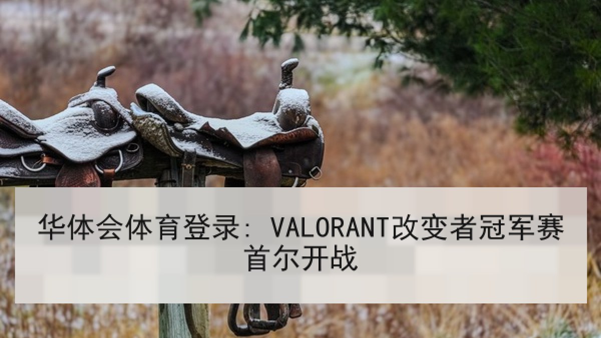 华体会体育登录: VALORANT改变者冠军赛首尔开战 华体会体育登录: VALORANT改变者冠军赛首尔开战